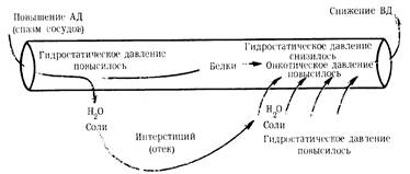 глава iii трансфузионная терапия экстремальных состояний - student2.ru