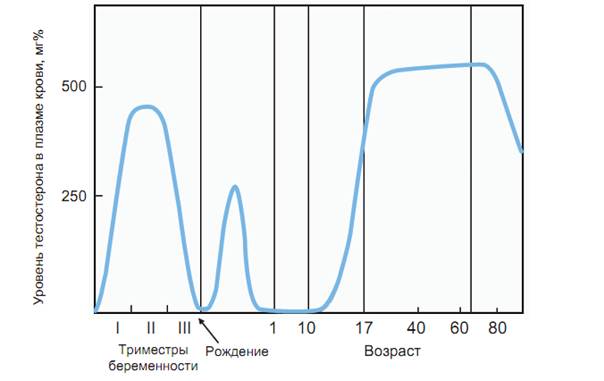 гормональды зерттеу - student2.ru