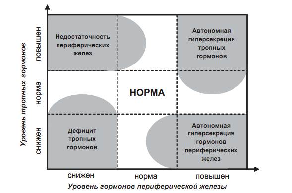 гормональды зерттеу - student2.ru