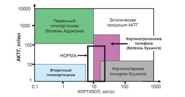 гормональды зерттеу - student2.ru