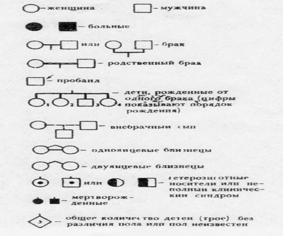 Графическое изображение родословных - student2.ru