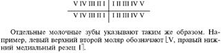 Групповые лимфатические фолликулы тонкой кишки и червеобразного отростка. Развитие, топография, строение, функции - student2.ru