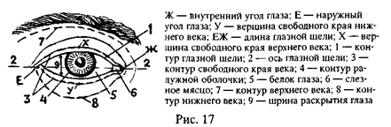 I. правила словесного описания внешнего облика человека - student2.ru