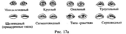 I. правила словесного описания внешнего облика человека - student2.ru
