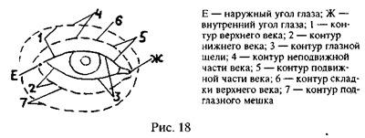 I. правила словесного описания внешнего облика человека - student2.ru