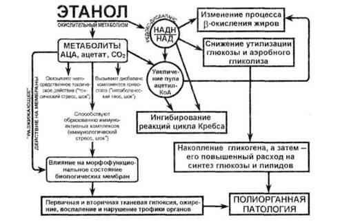 И терапии химических зависимостей - student2.ru