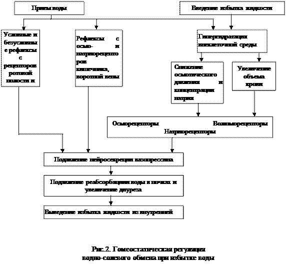 Ii. 2. 1. изоосмолярная гипергидратация - student2.ru