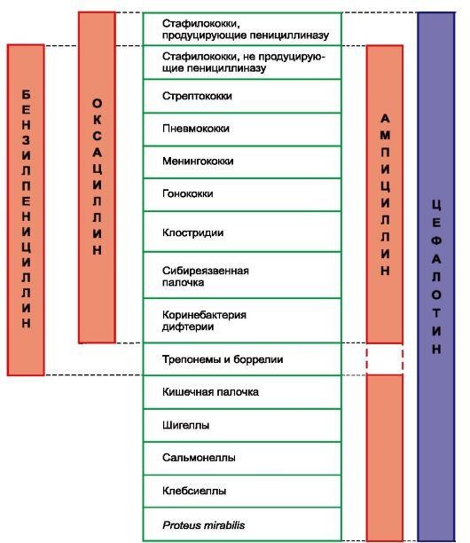 II. Полусинтетические пенициллины - student2.ru
