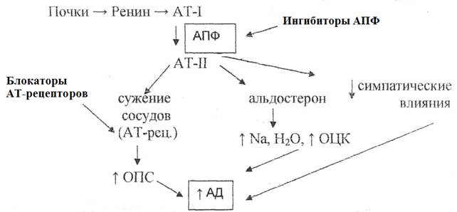 II. Средства, влияющие на ренин-ангиотензин-альдостероновую систему (РААС) - student2.ru