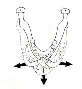 III. Движения нижней челюсти в трансверзальной плоскости. - student2.ru