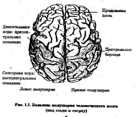 импрессивная и экспрессивная речь - student2.ru