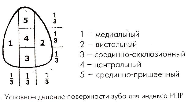 Индекс эффективности гигиены полости рта (РНР) - student2.ru