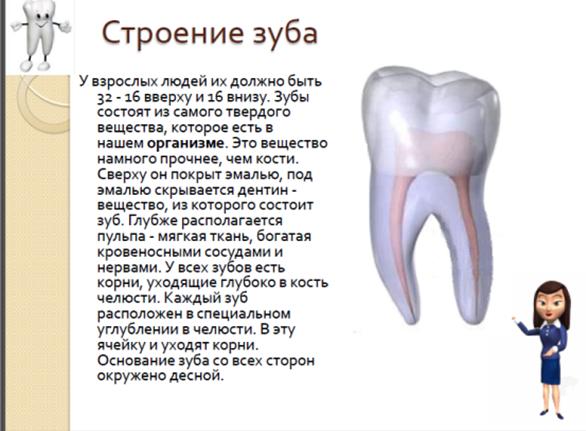 Индивидуальная гигиена полости рта. - student2.ru