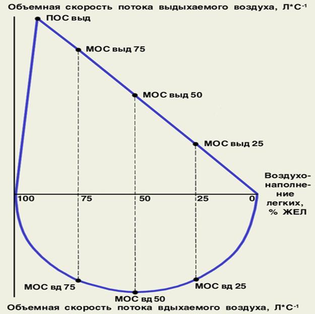 инструментальные методы обследования легких - student2.ru