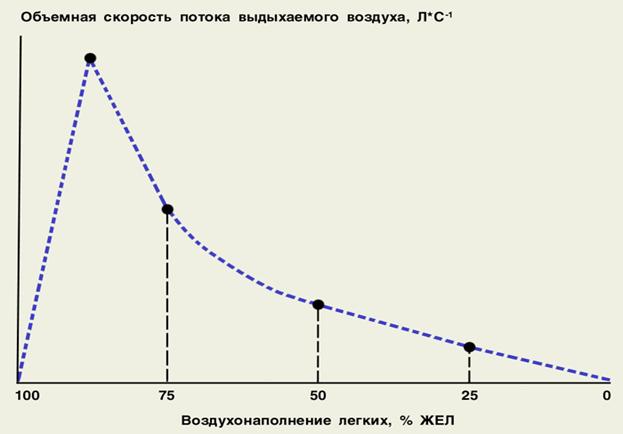 инструментальные методы обследования легких - student2.ru