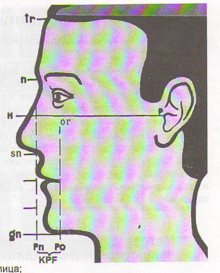 Исследование пропорционального развития частей лица. - student2.ru