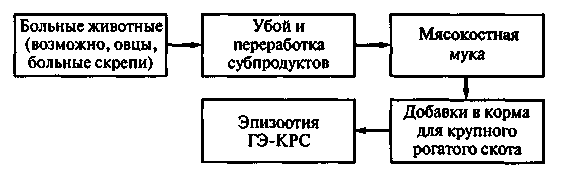 Историческая справка, распространение, степень опасности и ущерб. Болезнь впервые зарегистрирована в Великобритании в 1985-1986 гг - student2.ru