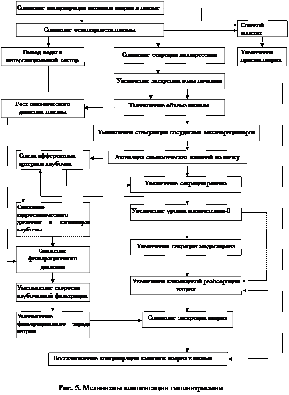 Iv. 1. нарушения баланса натрия - student2.ru