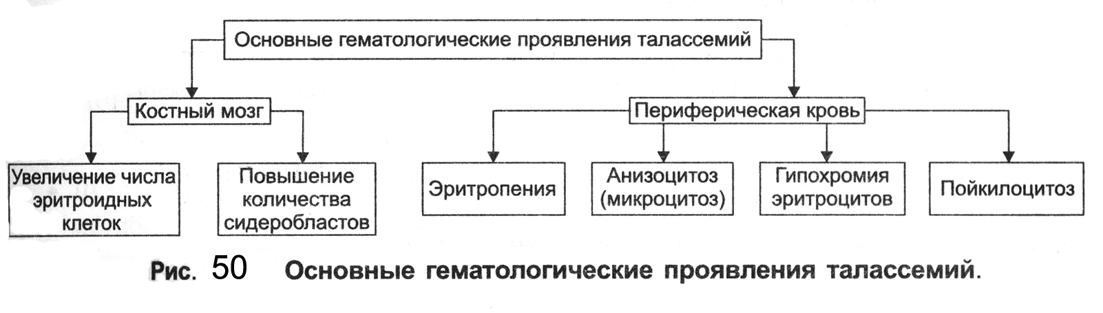 Iv. гематологический синдром - student2.ru