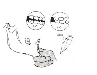 IV. Зубы, зубные ряды, окклюзионные контакты. - student2.ru