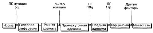 Из: Hunter T. Cooperation between oncogenes. Cell, 64: 249, 1991 - student2.ru