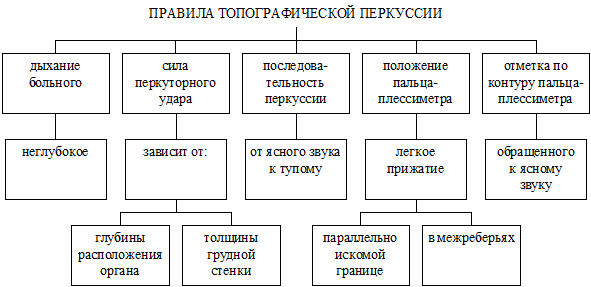 Изменения звука при сравнительной перкуссии - student2.ru