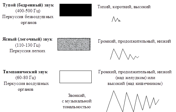 Изменения звука при сравнительной перкуссии - student2.ru