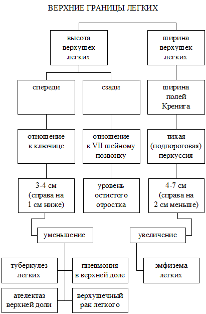 Изменения звука при сравнительной перкуссии - student2.ru