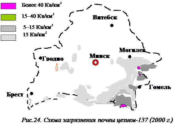 Изотопы, попавшие в выброс в результате чернобыльской аварии (оценки на январь 2000 г.) - student2.ru