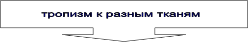 Путь заражения воздушно-капельный - student2.ru