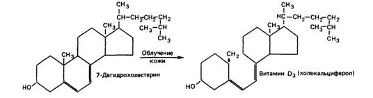 Изучение ныне существующих первобытных популяций - student2.ru