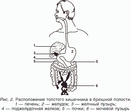 К 10-летию «Целительных сил» - student2.ru