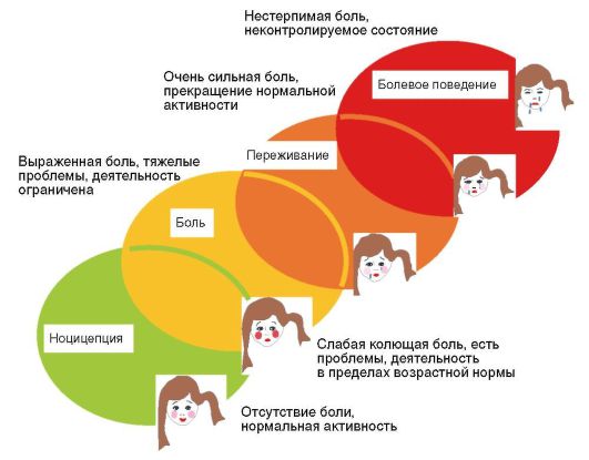 K80.0. Камни желчного пузыря с острым холециститом. K80.1. Камни желчного пузыря с другим холециститом. K80.4. Камни желчного протока с холециститом. - student2.ru