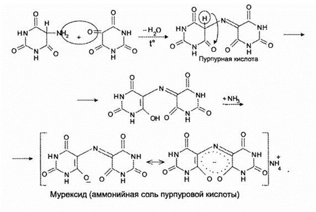 качественные реакции гетероциклических соединений - student2.ru