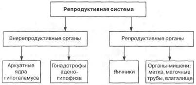 Качество жизни гинекологических больных - student2.ru