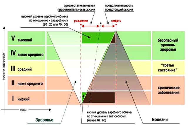 II. Комплексная оценка уровня здоровья по методу Г.А. Апанасенко. - student2.ru