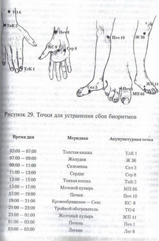 Как быть в лучшей форме, когда нужно встречать детей из школы, а мужа с работы - student2.ru