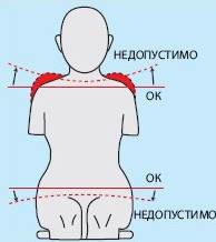 Как избежать профессиональных заболеваний стоматологов - student2.ru