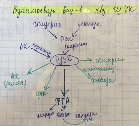 Как меняется структура и функции белков при повышении температуры? - student2.ru