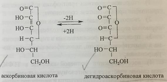 Как меняется структура и функции белков при повышении температуры? - student2.ru