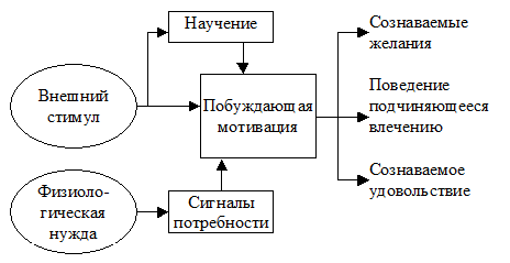 Как язык может определять мышление: языковая относительность и языковой детерминизм - student2.ru