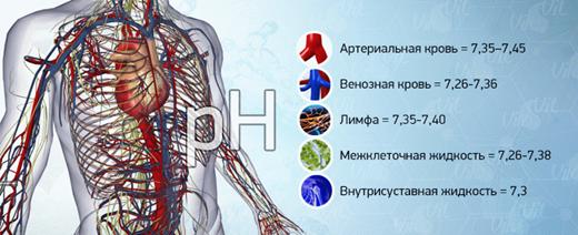 какой рн в организме человека - student2.ru